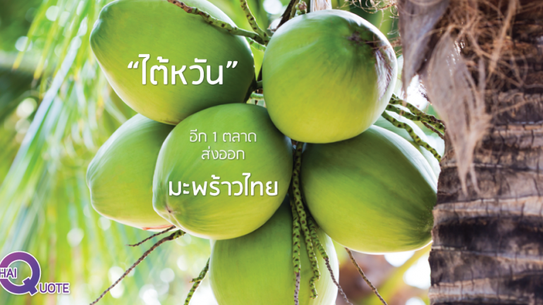 “ไต้หวัน” อีก 1 ตลาดส่งออก มะพร้าวไทย