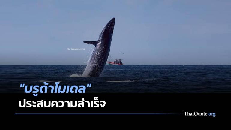 ดร.ธรณ์ เผยภาพ “วาฬบรูด้า” เล่นน้ำเริงร่าในอ่าวไทย