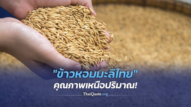 “หอมมะลิ” ความหวังส่งออกข้าวไทยปี 64 