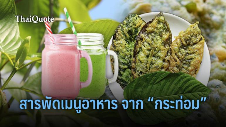 แนะนำสารพัดเมนูจาก “กระท่อม” ไอเดียต่างชาติที่ทำคนไทยอึ้ง 