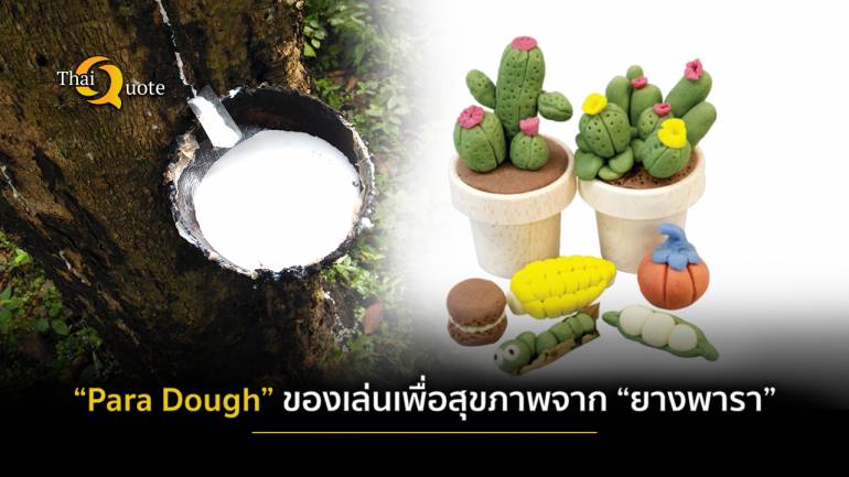 ฝีมือคนไทย “Para Dough” เพิ่มมูลค่า “ยางพารา”เตรียมส่งออกเป็น “ของเล่นเพื่อสุขภาพ”