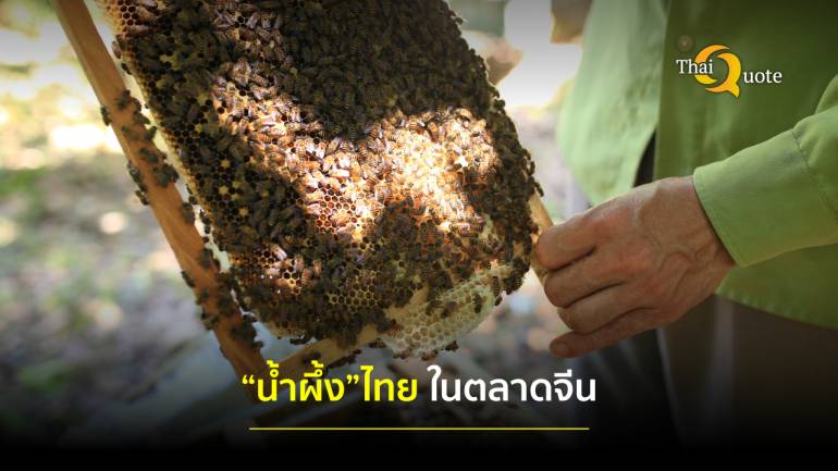 ส่องโอกาส “น้ำผึ้ง” ไทย ในตลาดจีน