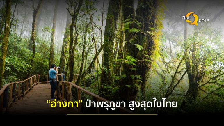 “อ่างกา ดอยอินทนนท์” ท่องเที่ยวเชิงนิเวศป่าพรุภูเขา สูงที่สุดในไทย