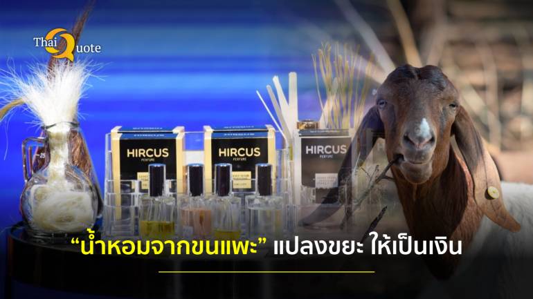 “น้ำหอมจากขนแพะ”  เพิ่มมูลค่า “ขยะ” เหลือทิ้ง แห่งแรกในไทย-เอเชีย 