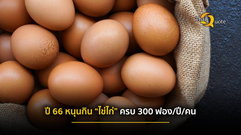 ตั้งเป้า ปี 66 คนไทยต้องกิน “ไข่ไก่” ปีละ300 ฟอง/คน