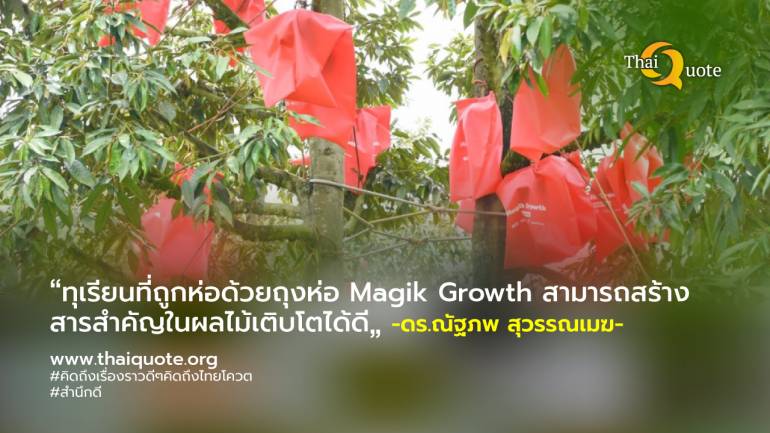 “Magik Growth” นวัตกรรมใหม่ของถุงห่อทุเรียน ลดสารเคมี สู่ต้นแบบ ‘ทุเรียนพรีเมี่ยม’ เพื่อการส่งออก