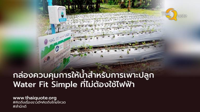 ‘WATER FiT’ simple กล่องควบคุมการให้น้ำสำหรับการเพาะปลูก ตอบโจทย์ ‘เกษตรแบบ Unplug’
