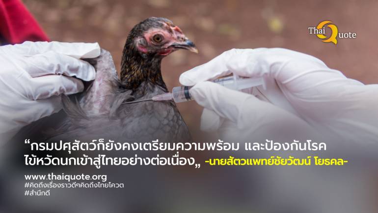 ปศุสัตว์ ยังไม่พบผู้ป่วยไข้หวัดนกในไทย กำชับเฝ้าระวัง หลังพบระบาดในเวียดนาม