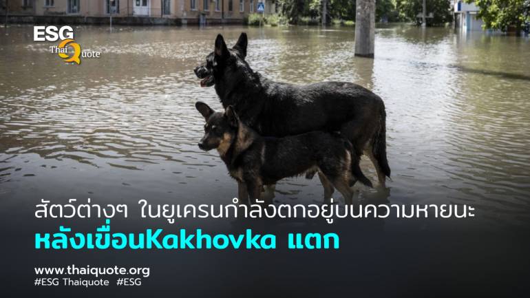 สัตว์ป่า สัตว์เลี้ยง และสิ่งมีชีวิตในน้ำต่างได้รับความเสียหายอย่างรุนแรงจากเขื่อนKakhovka ถูกทำลาย