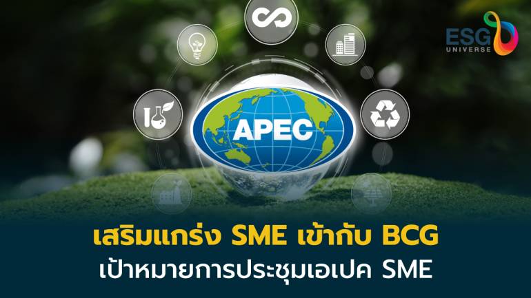 ถ้อยแถลงรัฐมนตรี SME เอเปค เสริมแกร่ง SME เข้ากับระบบเศรษฐกิจสีเขียว (BCG)