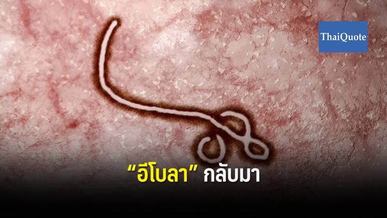 WHO ประกาศภาวะฉุกเฉินโลก หลัง “อีโบลา” ระบาดรุนแรง