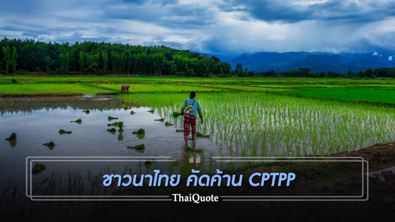 สมาคมชาวนาไทย ยื่นคัดค้าน CPTPP ยกเหตุผล 6 ข้อ หวั่นกระทบเศรษฐกิจฐานราก