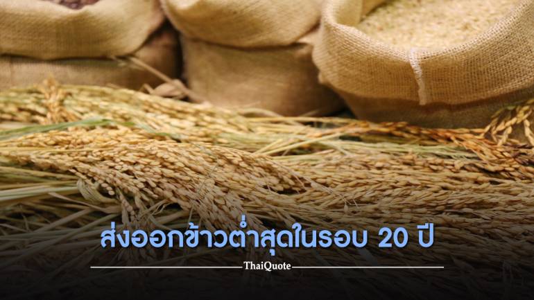 เวียดนามแซง! ส่งออกข้าวไทย 6 เดือนติดลบ 32% ปรับเป้าทั้งปีเหลือ 6.5 ล้านตัน