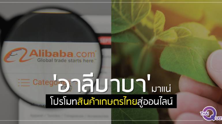 'อาลีบาบา' มาแน่ โปรโมทสินค้าเกษตรไทยสู่ออนไลน์