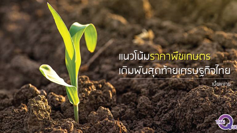 แนวโน้มราคาพืชเกษตร เดิมพันสุดท้ายเศรษฐกิจไทย (ชมคลิป)