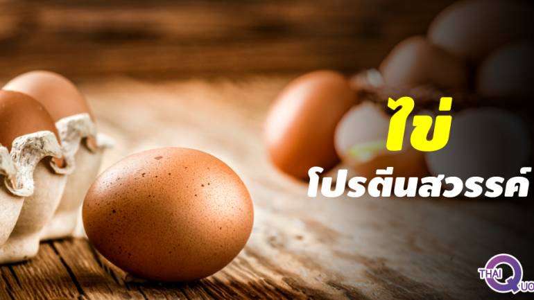 กินไข่ถูกวิธี ในแต่ละช่วงวัย