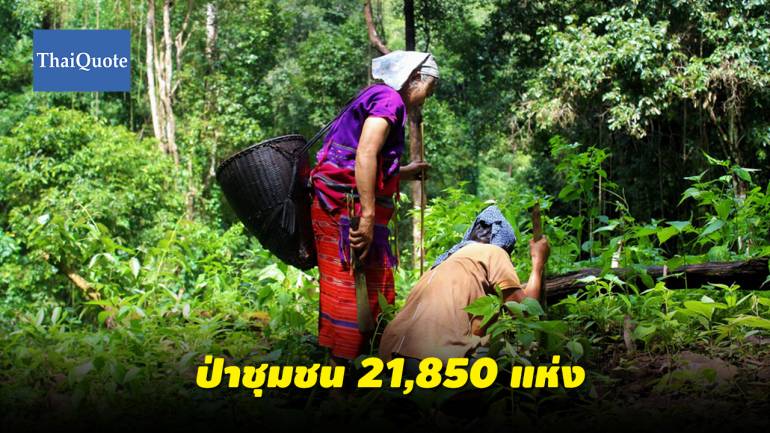 สนช.ไฟเขียว ร่าง พ.ร.บ.ป่าชุมชน เป้า 21,850 แห่งทั่วประเทศ