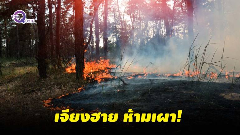 “เชียงราย” ประกาศห้ามเผา ป้องกันมลพิษ-ไฟป่า ฝ่าฝืนเจอคุก 15 ปี