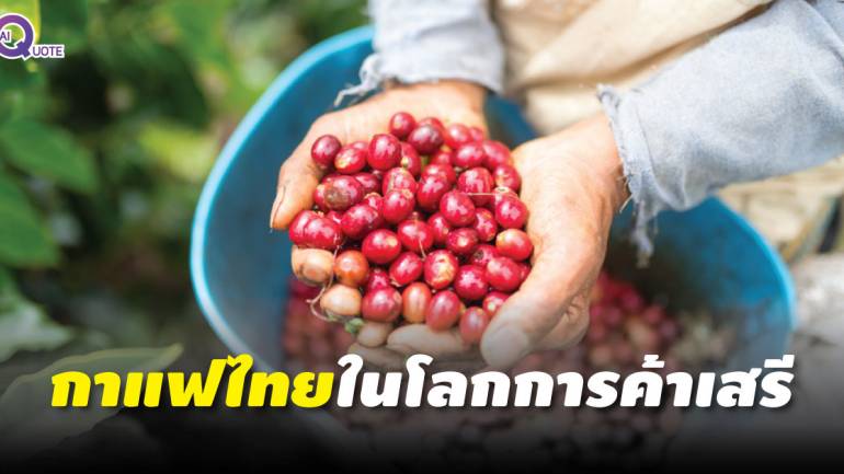 “พาณิชย์” ลงพื้นที่น่าน ชี้ช่องพัฒนากาแฟไทยรุกตลาดโลก