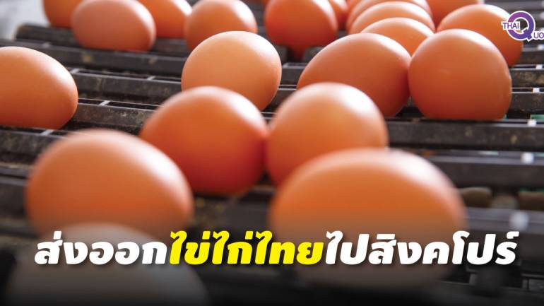 ฟาร์มไก่ไข่เฮลั่น ! สิงคโปร์ สั่งซื้อเพิ่ม 10.8 ล้านฟองต่อเดือน
